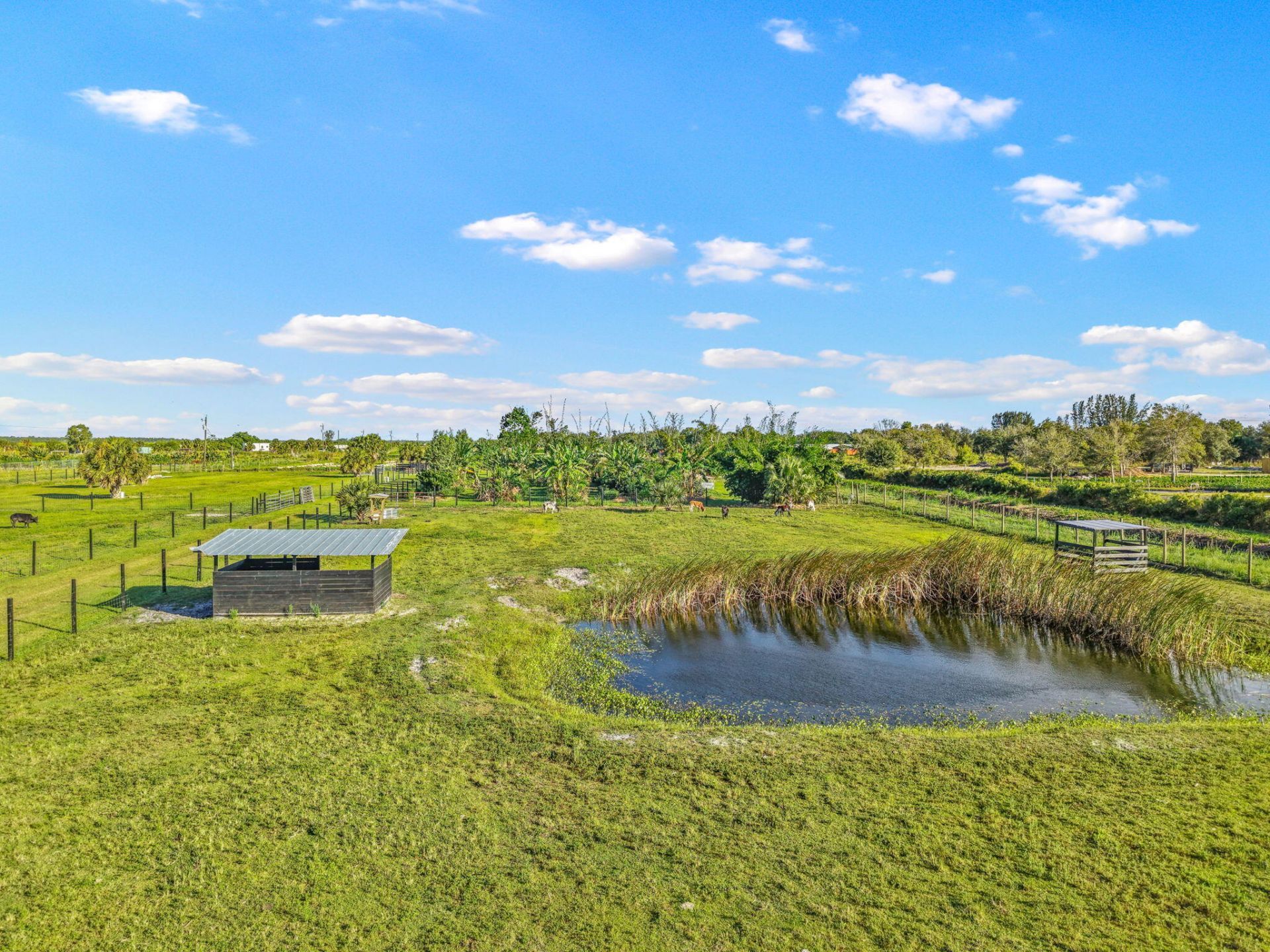 20915 Antoinette Street, Loxahatchee, FL 33470 Photo