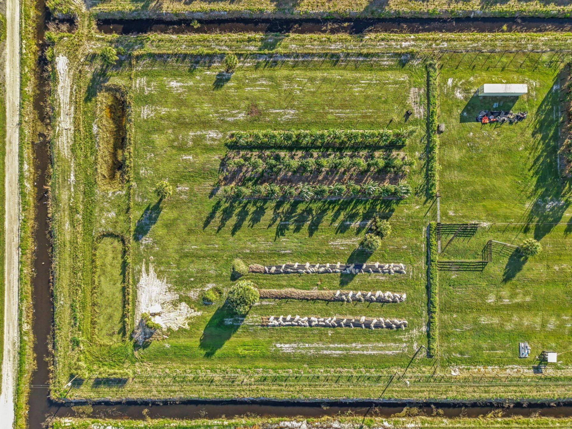 20915 Antoinette Street, Loxahatchee, FL 33470 Photo