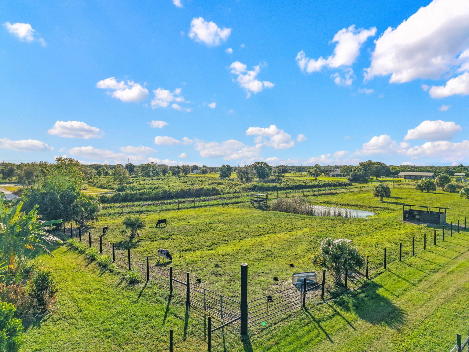 20915 Antoinette Street, Loxahatchee, FL 33470 Photo