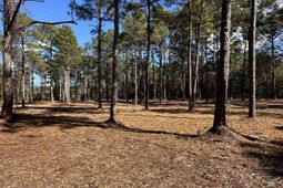 Tbd Highway 707 photo 4