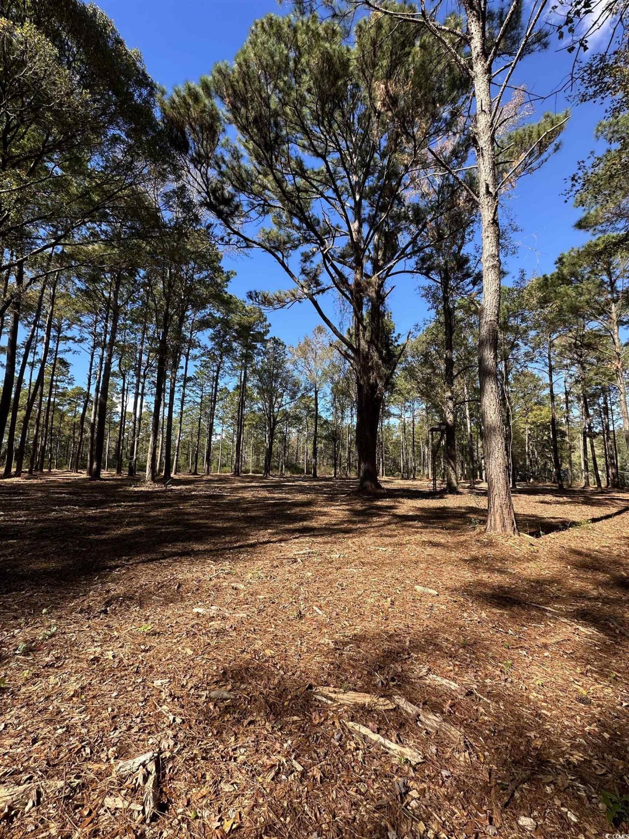 Tbd Highway 707 Photo 4