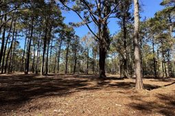 Tbd Highway 707 photo 4