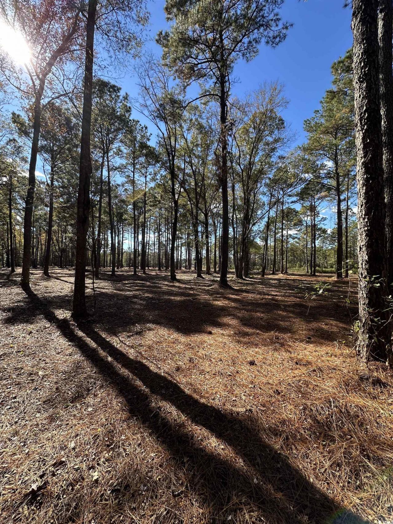 Tbd Highway 707 Photo 5