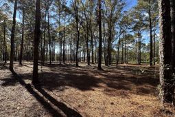 Tbd Highway 707 photo 4