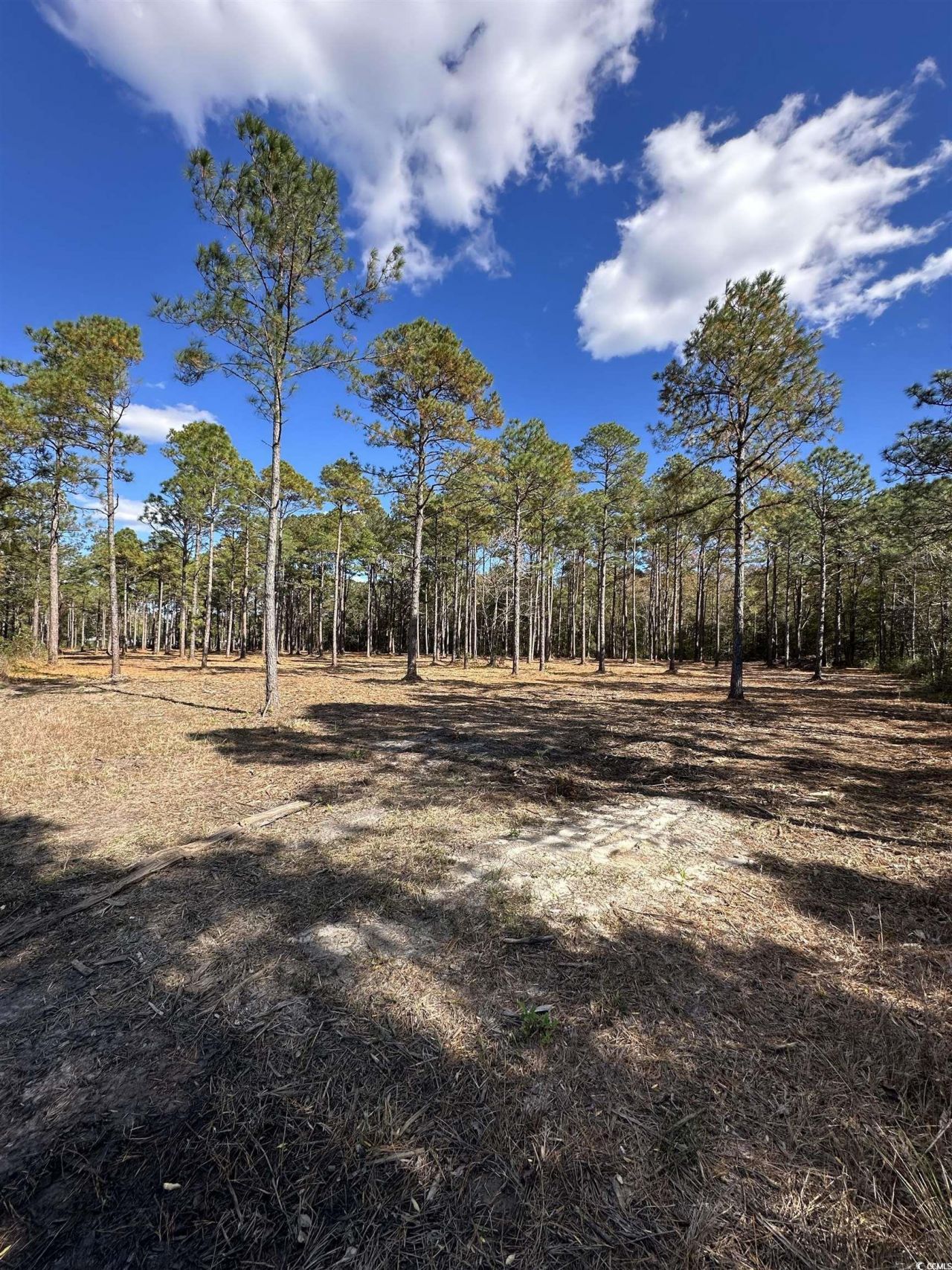 Tbd Highway 707 Photo 6