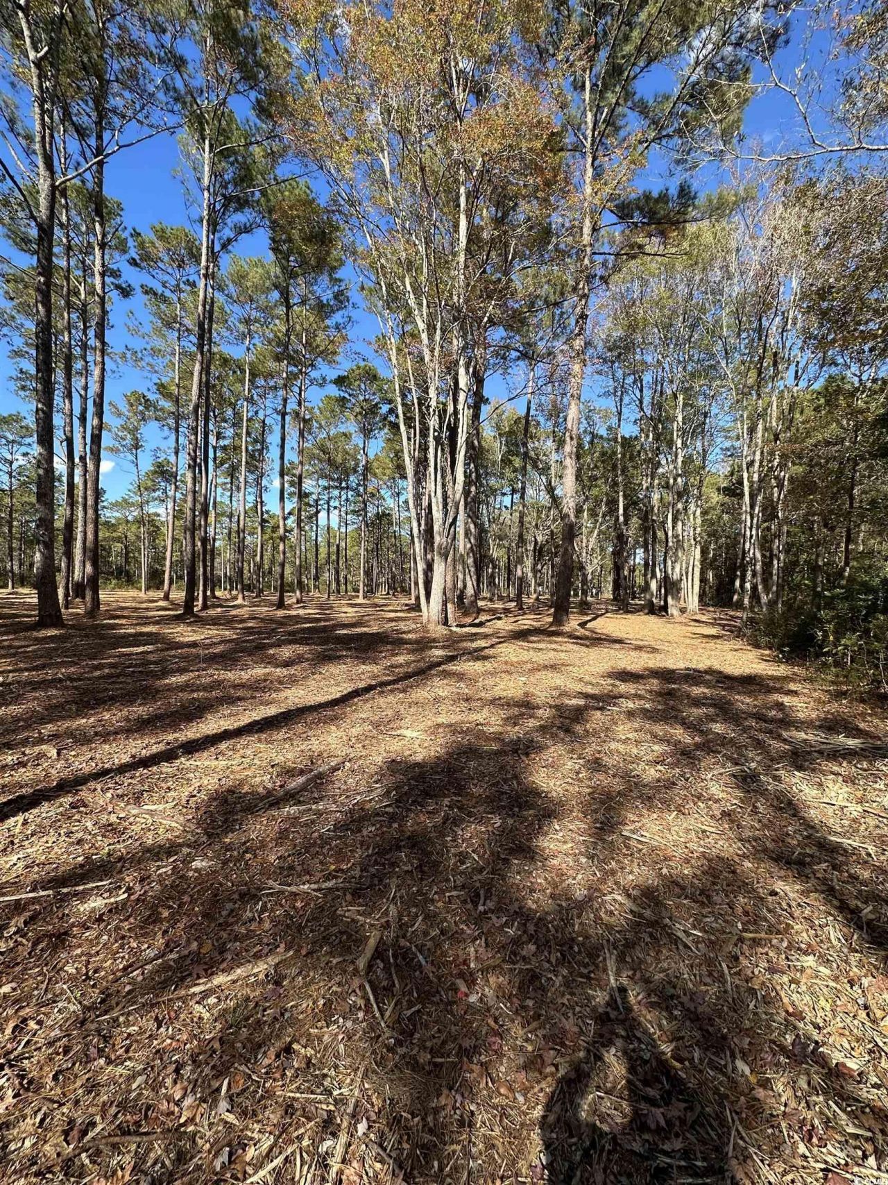 Tbd Highway 707 Photo 7