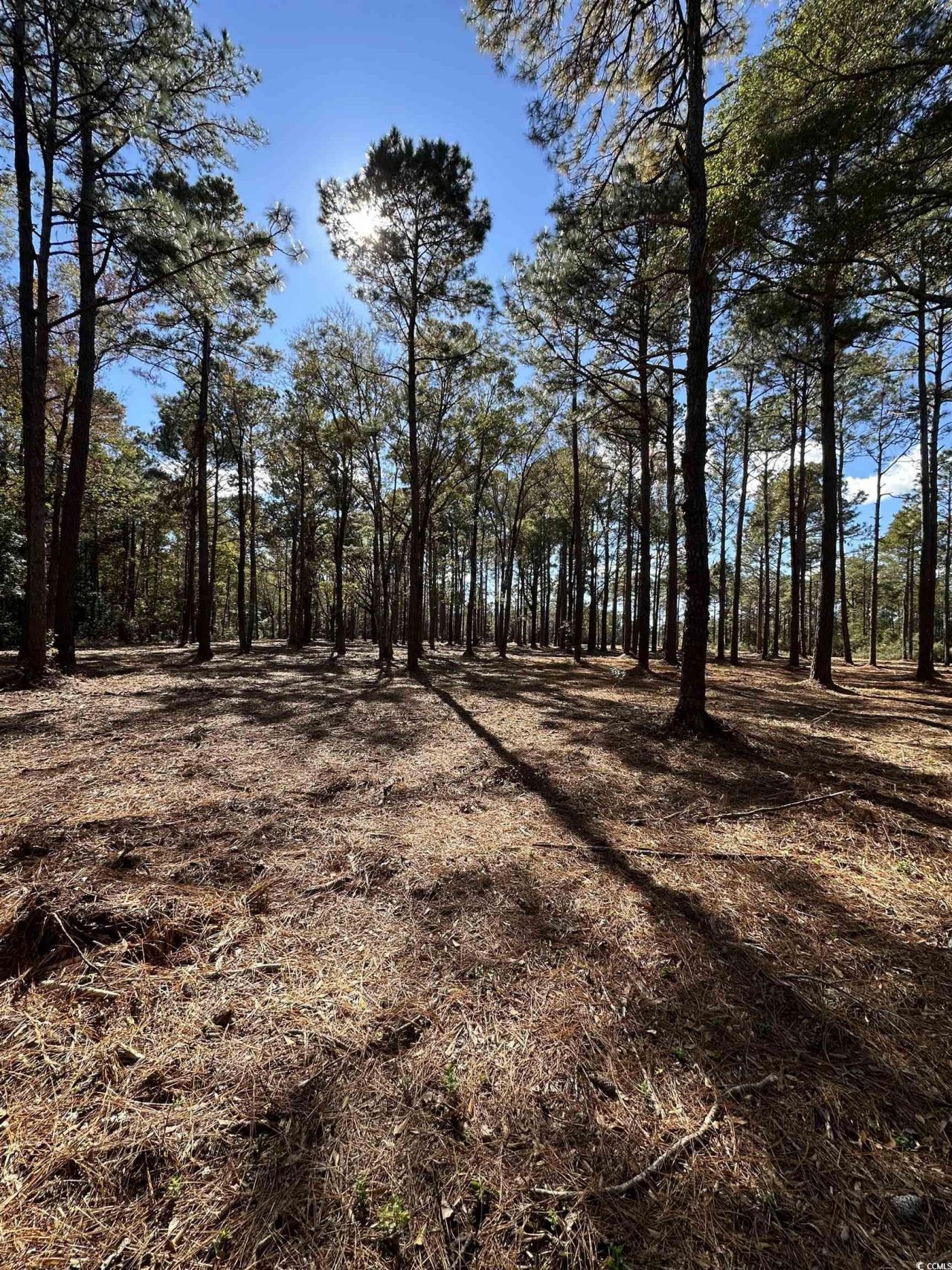 Tbd Highway 707 Photo 9