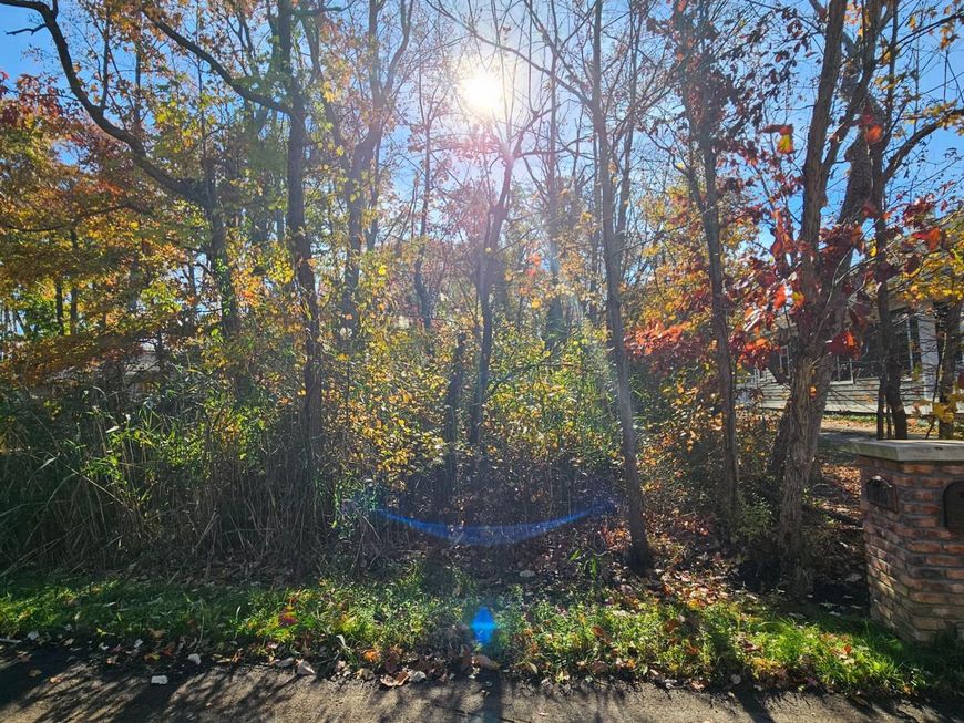 1217 Cross, Annapolis, MD 21403 Main Photo