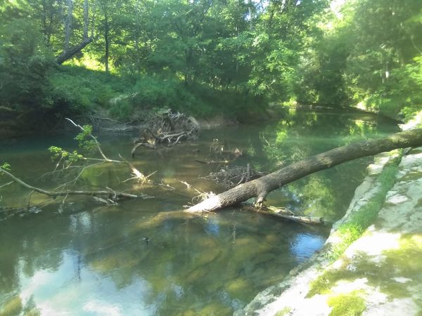 2359 Mack Floyd Rd , Sparta, TN 38583