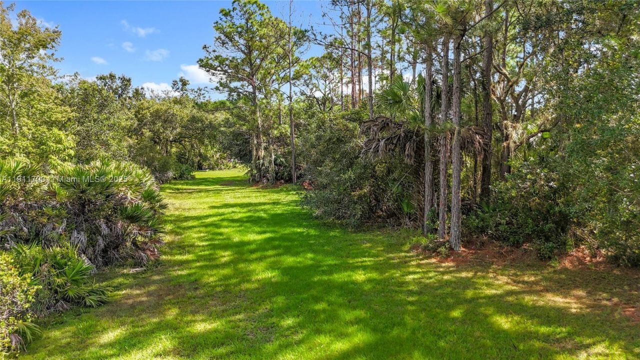 1432 Silver Lake Rd, Moore Haven, FL 33471 Photo