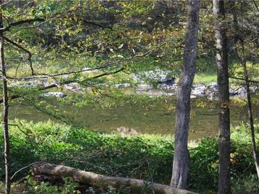 Peakville Road, Hancock, NY 13783