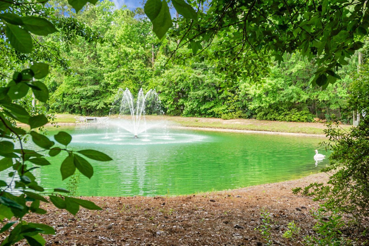 184 Angora Way Photo 55