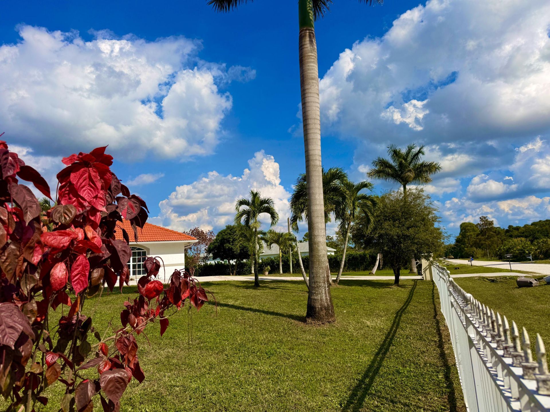 17477 69th Street N, Loxahatchee, FL 33470 Photo