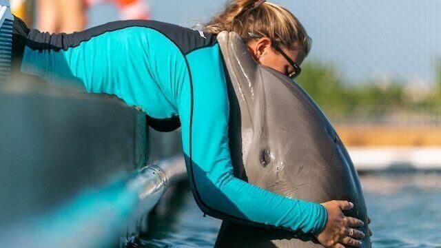 322 E Seaview Drive, Duck, FL 33050 Photo