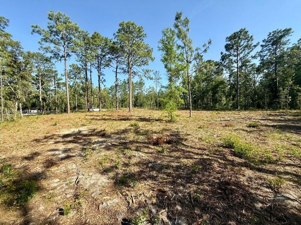 0 NW 157th Ave, Williston, FL 32696