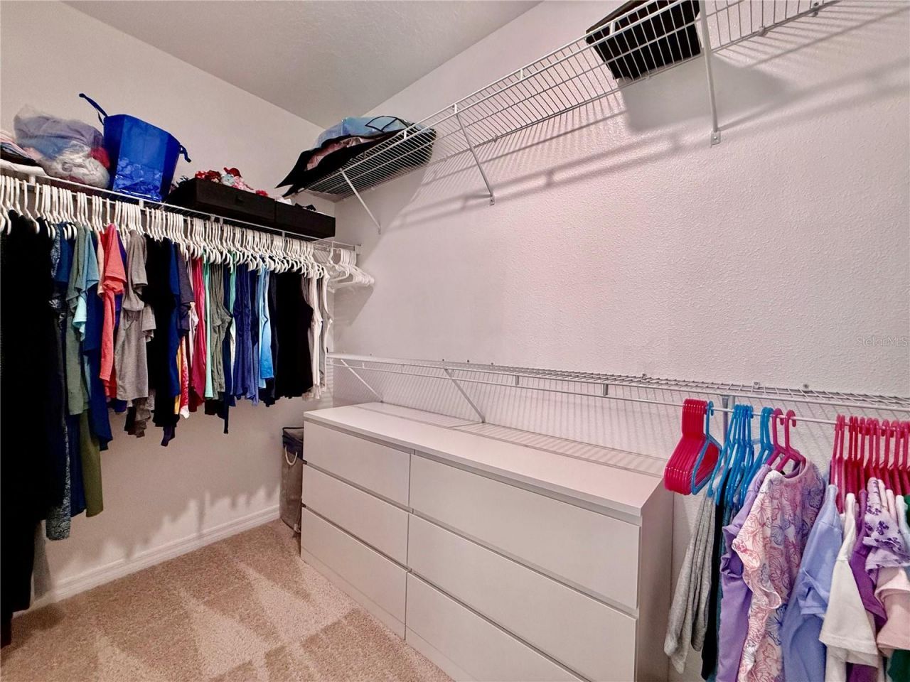 17098 Water Spring Boulevard, Winter Garden, FL 34787 Photo