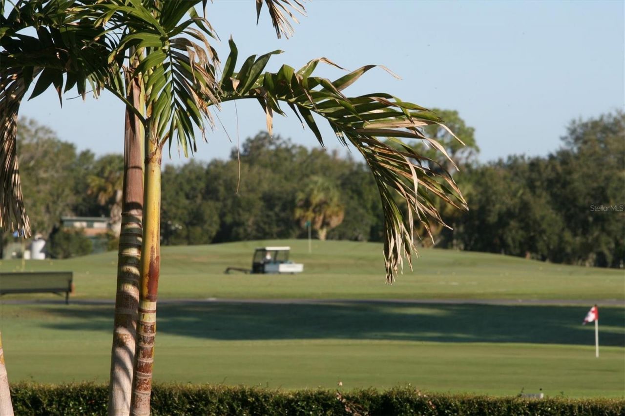 2374 Little Country Road, Parrish, FL 34219 Photo