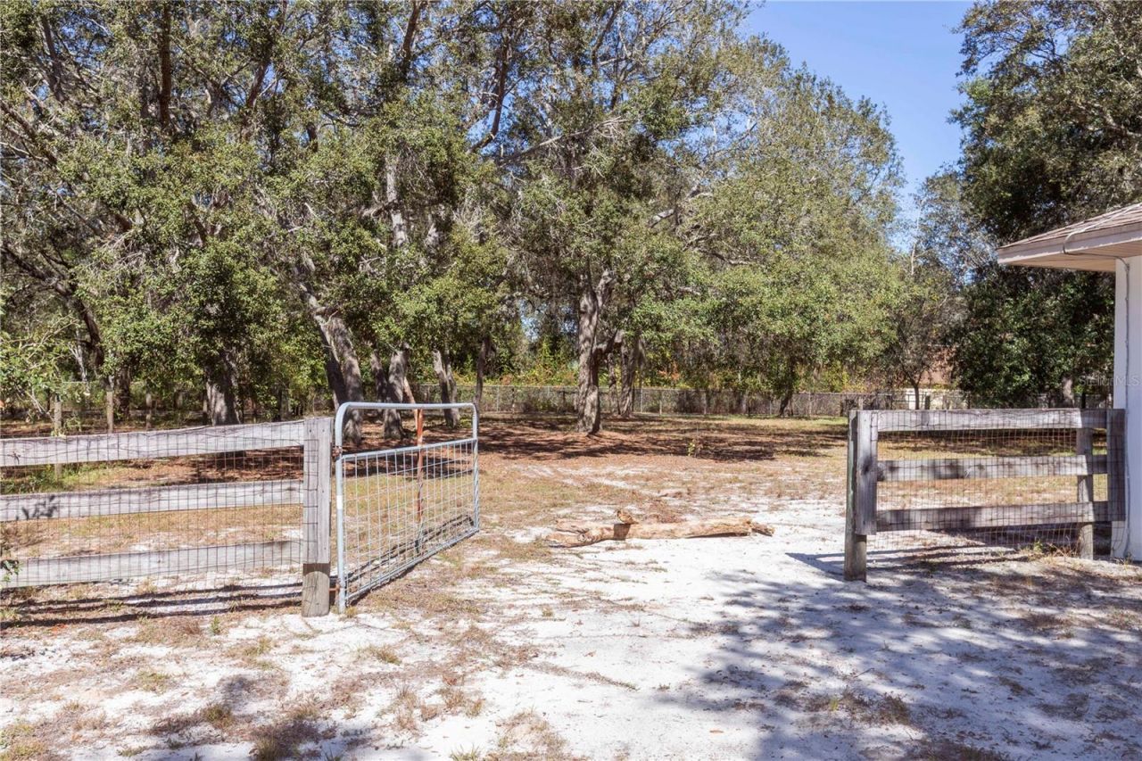 10837 Osceola Drive, New Port Richey, FL 34654 Photo