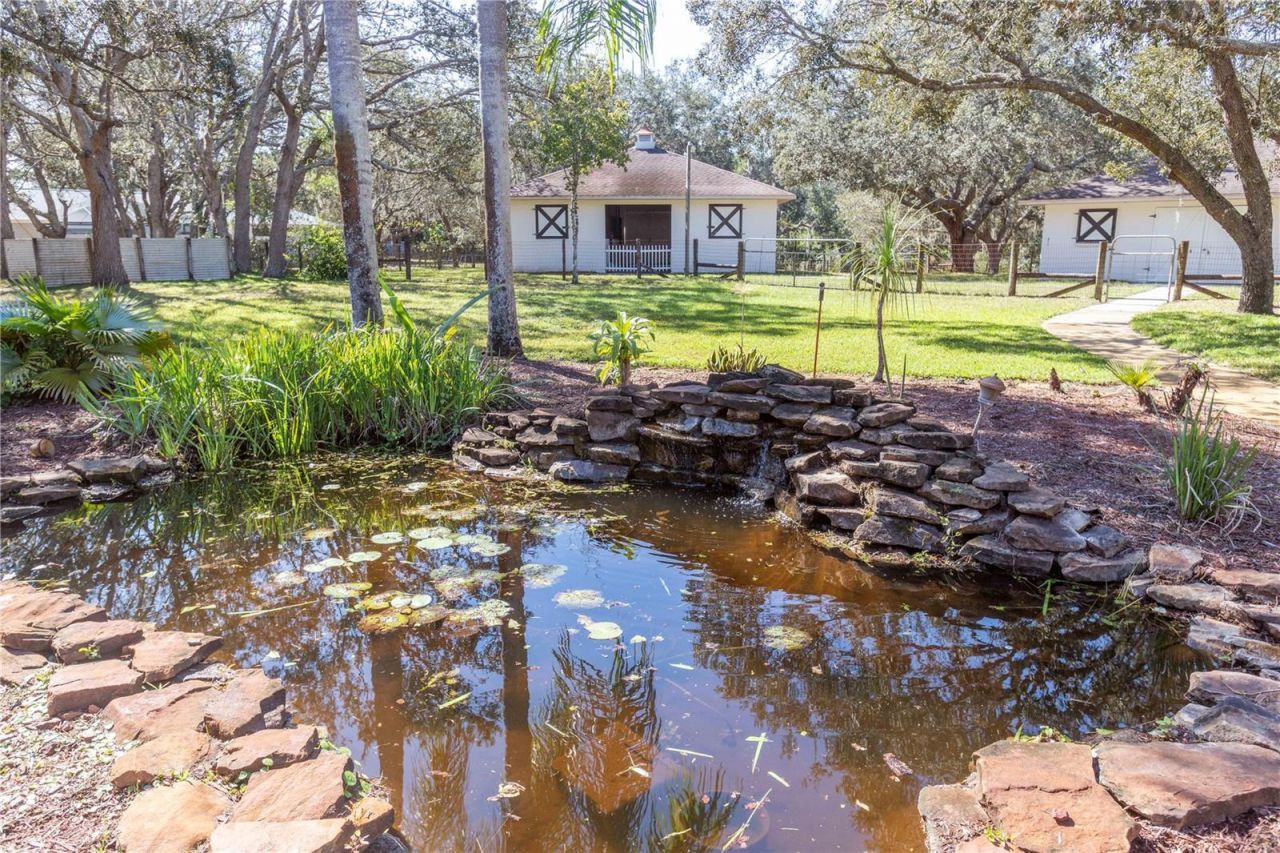 10837 Osceola Drive, New Port Richey, FL 34654 Photo