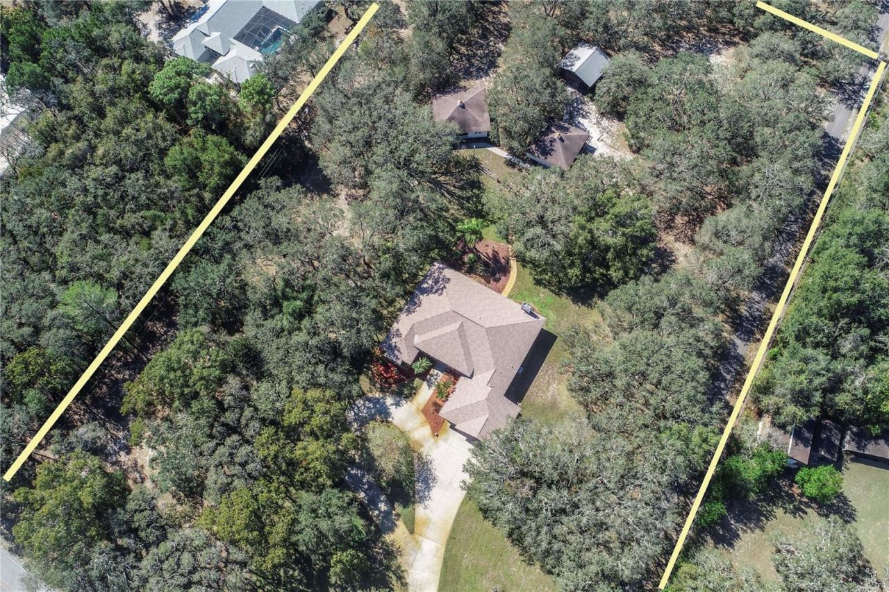 10837 Osceola Drive, New Port Richey, FL 34654 Photo