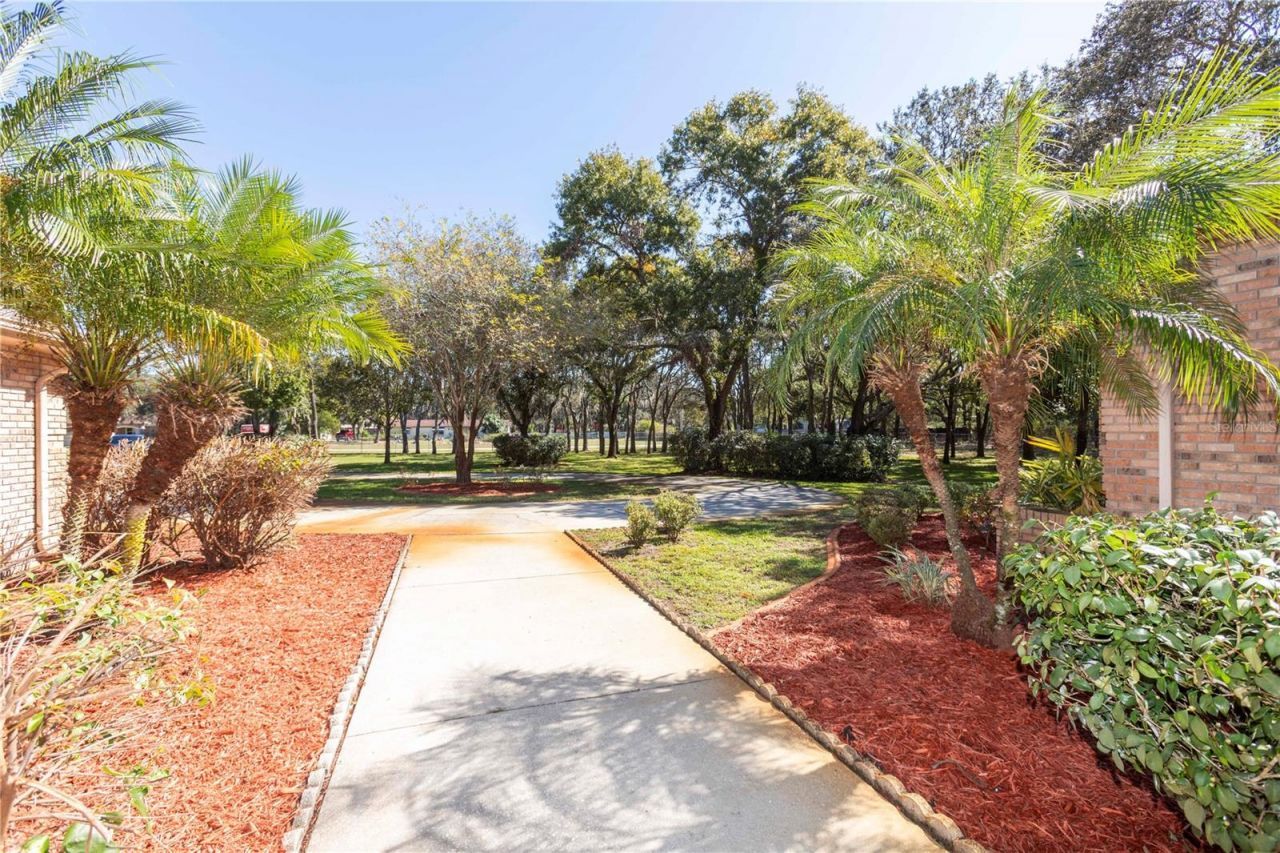 10837 Osceola Drive, New Port Richey, FL 34654 Photo