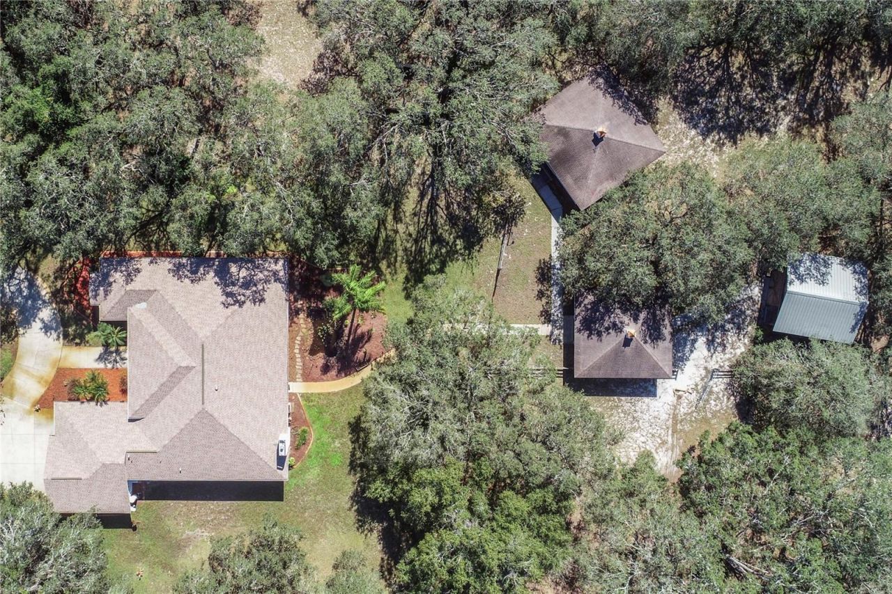 10837 Osceola Drive, New Port Richey, FL 34654 Photo