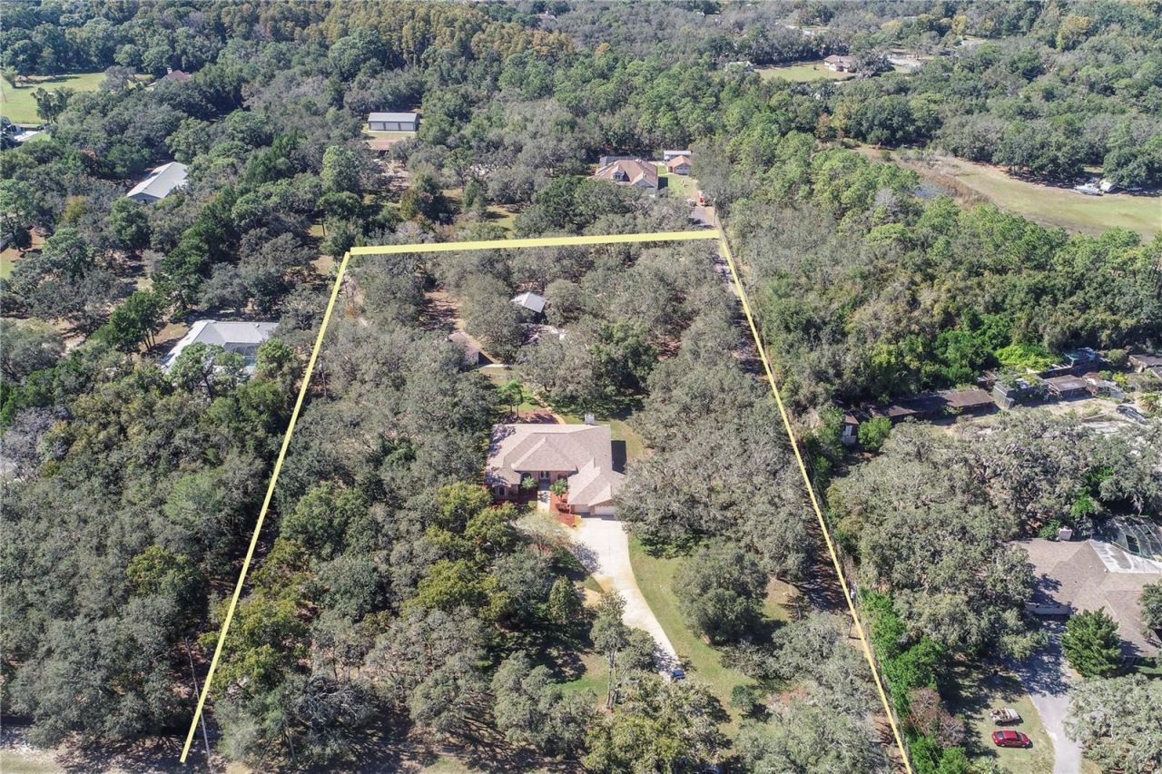 10837 Osceola Drive, New Port Richey, FL 34654 Photo