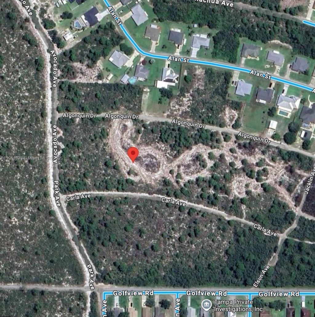 2224 Carla Ave, Sebring, FL 33875 Photo