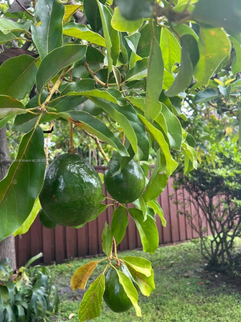 2001 N 41st Ave, Hollywood, FL 33021 Photo