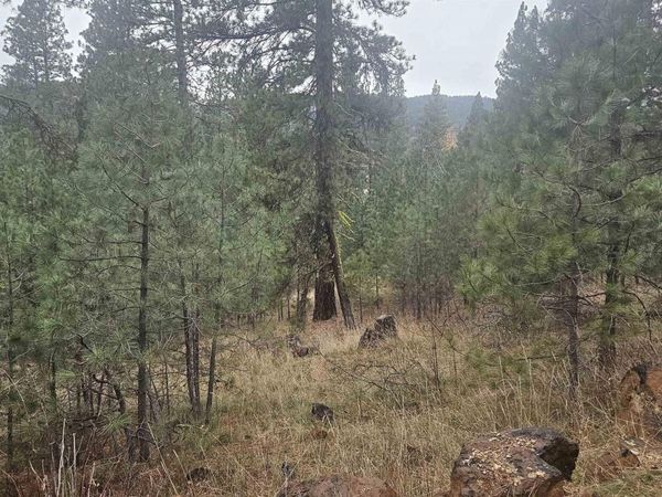 Lot 4 Boise Holcomb #3, Boise, ID 83716