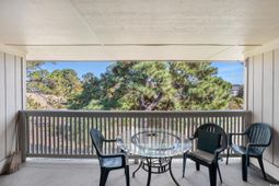 4206 Pinehurst Circle photo 4