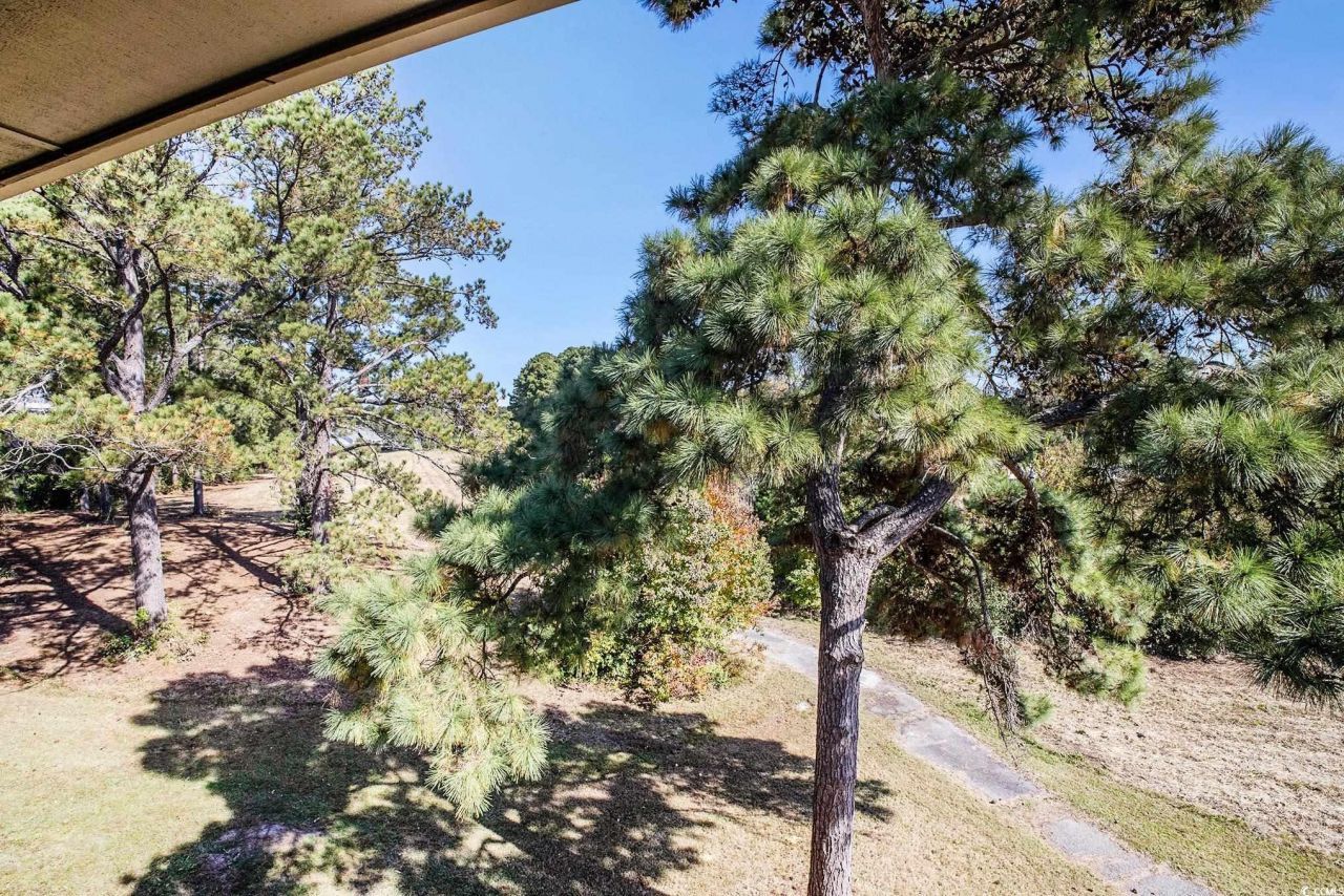 4206 Pinehurst Circle Photo 27