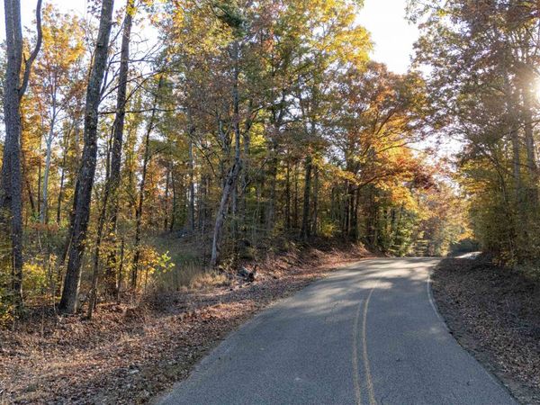 GOOCH STORE RD, Hornsby, TN 38044