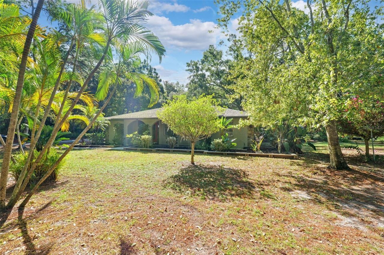 12210 State Street, Tampa, FL 33635 Photo