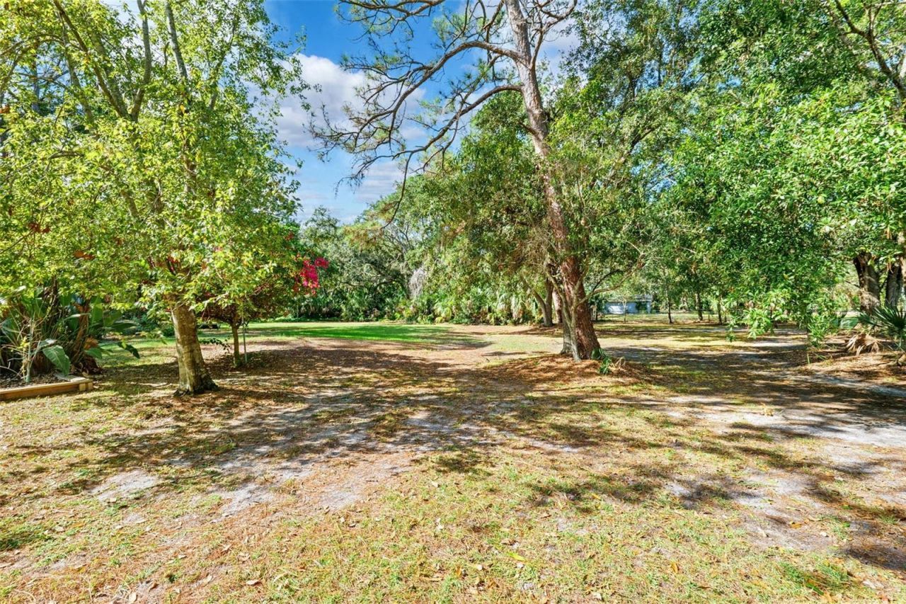 12210 State Street, Tampa, FL 33635 Photo