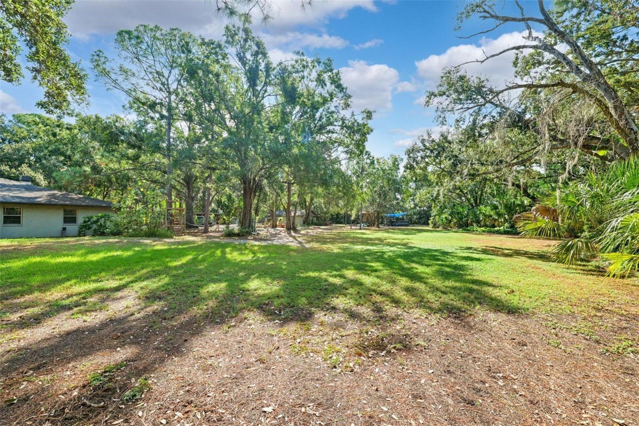 12210 State Street, Tampa, FL 33635 Photo