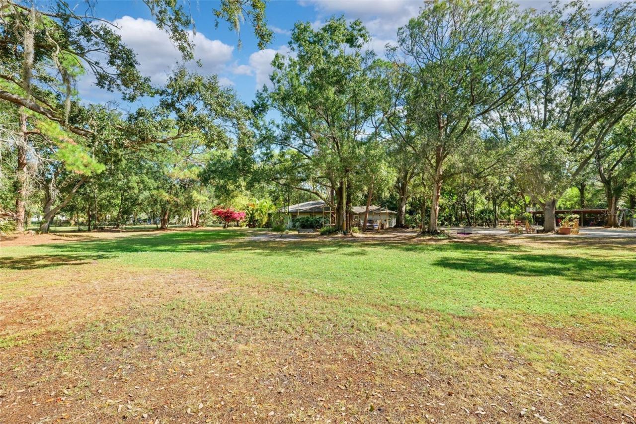 12210 State Street, Tampa, FL 33635 Photo