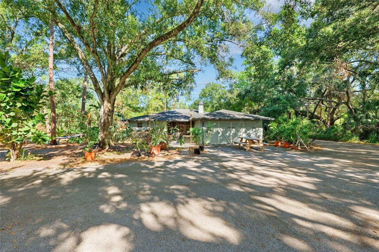 12210 State Street, Tampa, FL 33635 Photo