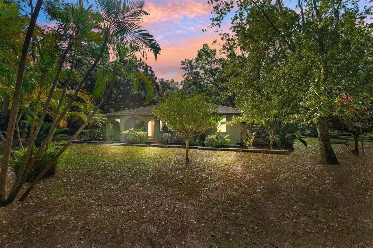 12210 State Street, Tampa, FL 33635 Photo