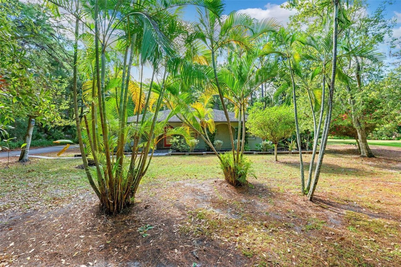 12210 State Street, Tampa, FL 33635 Photo