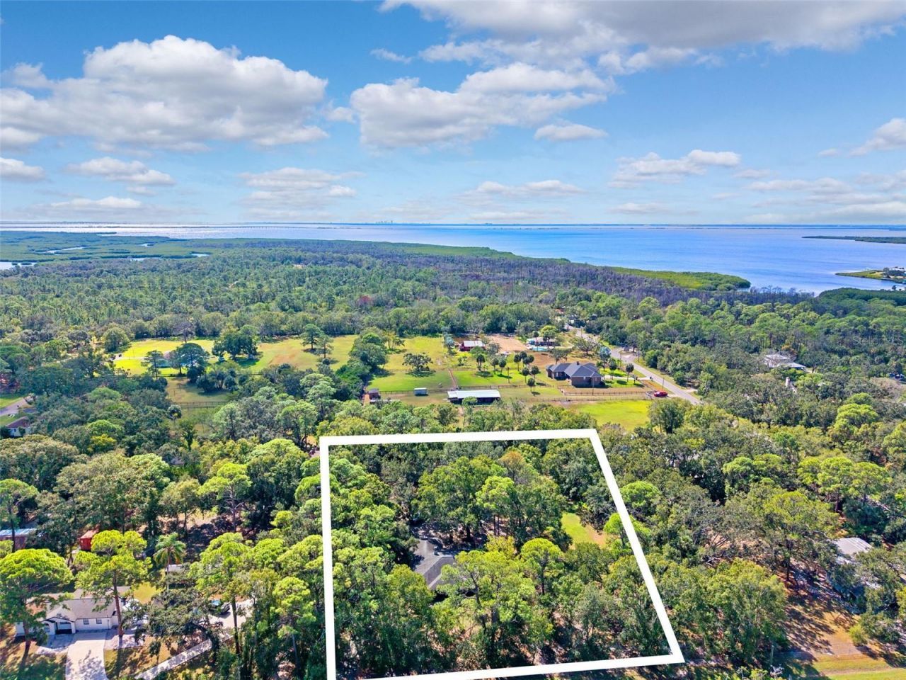 12210 State Street, Tampa, FL 33635 Photo