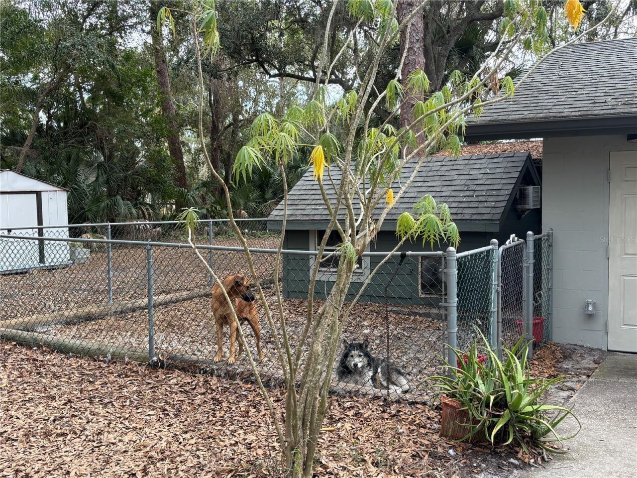 12210 State Street, Tampa, FL 33635 Photo