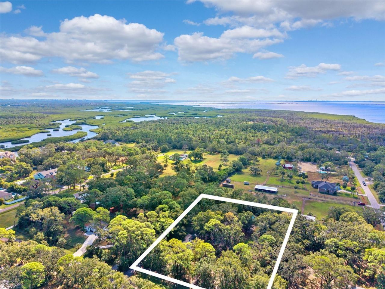 12210 State Street, Tampa, FL 33635 Photo