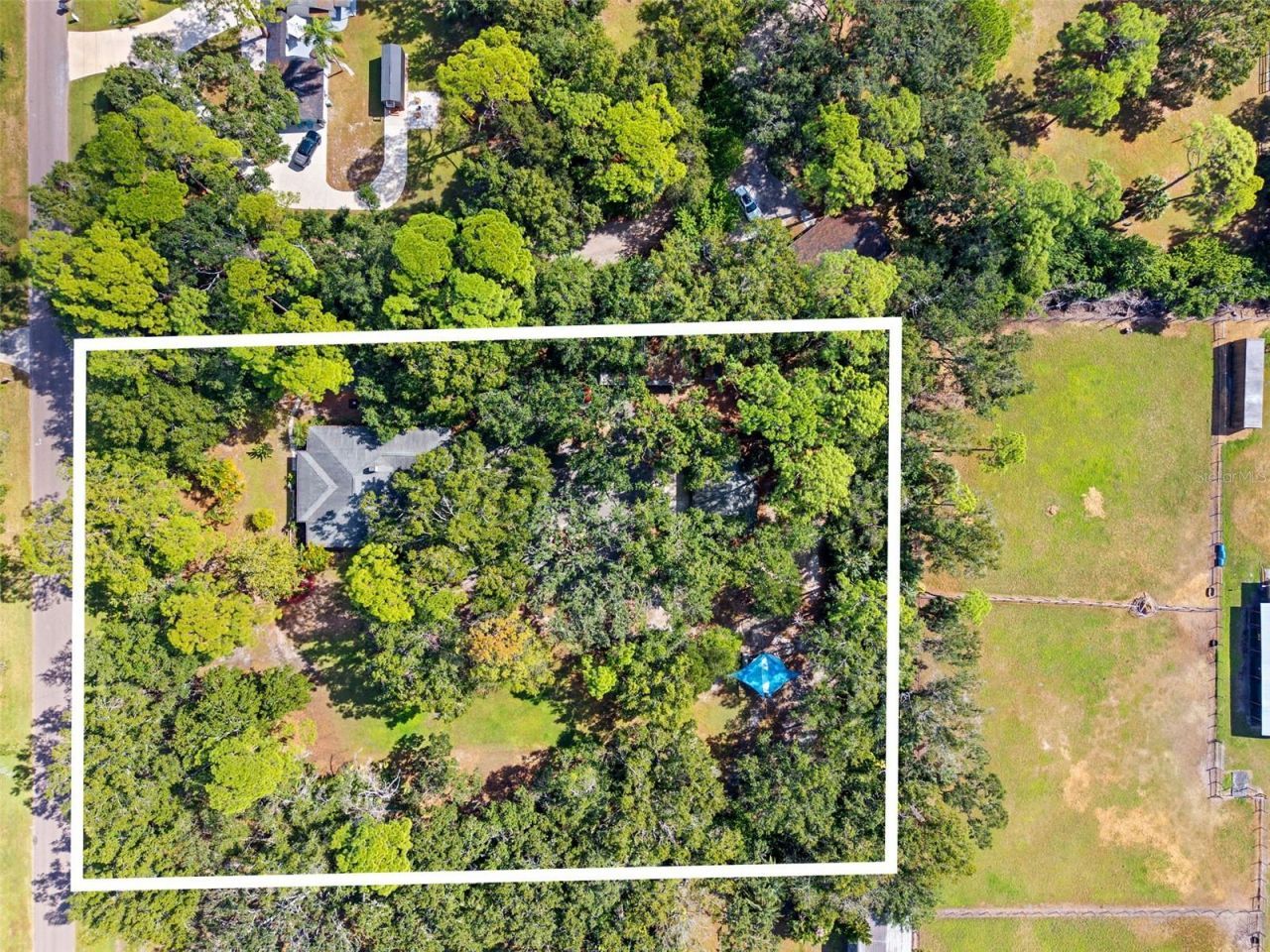 12210 State Street, Tampa, FL 33635 Photo