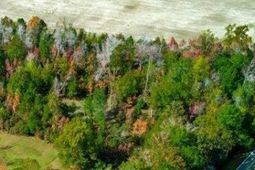 Tbd Spring Garden Rd. photo 4