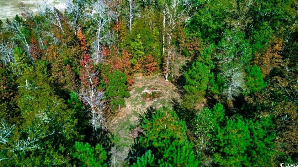 Tbd Spring Garden Rd. Photo 8