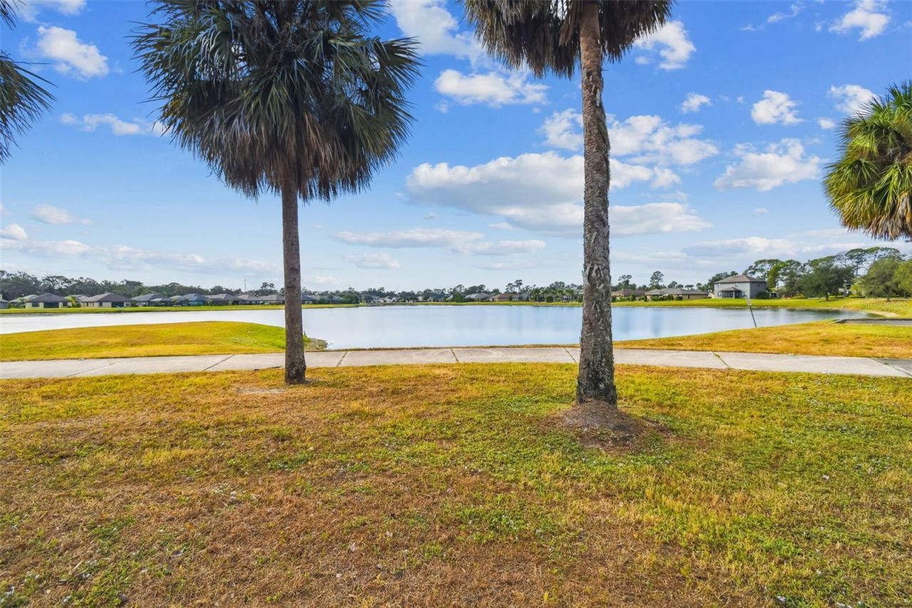 8910 52nd Avenue E, Palmetto, FL 34221 Photo