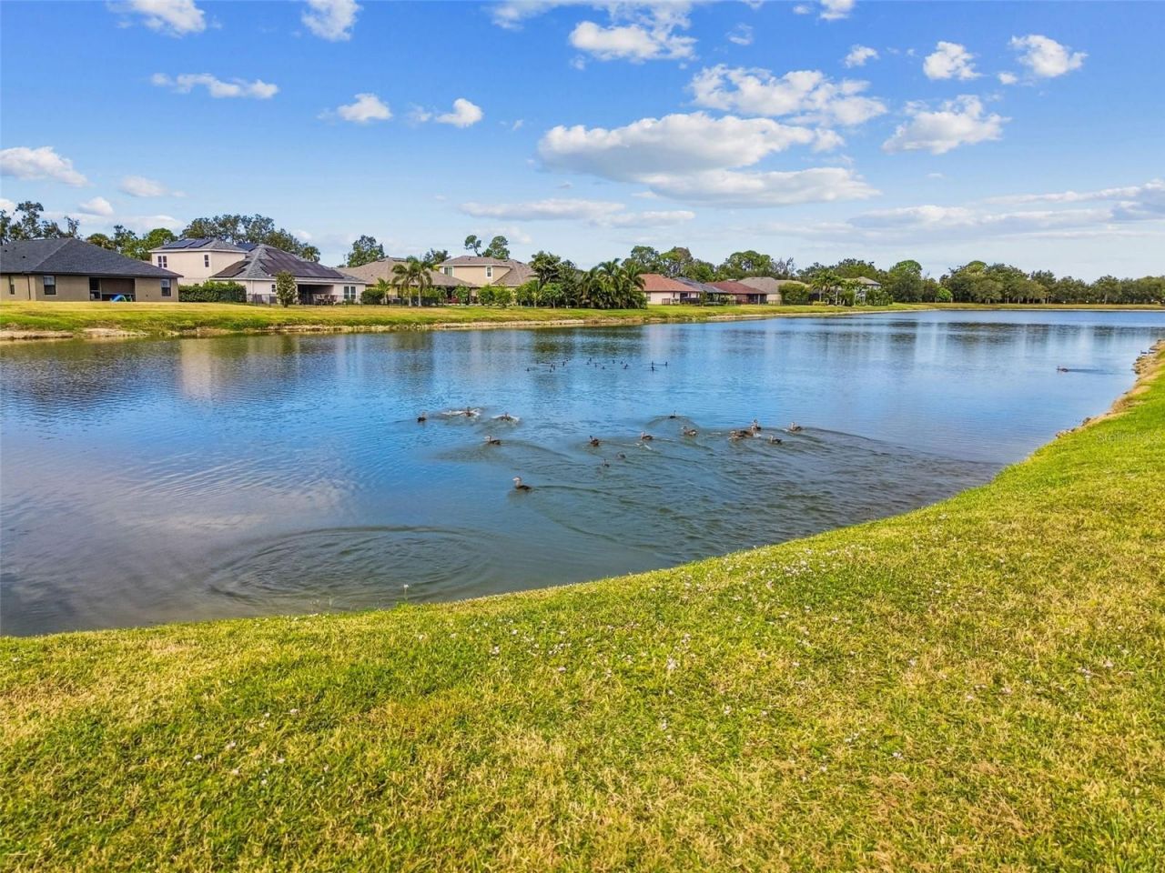 8910 52nd Avenue E, Palmetto, FL 34221 Photo