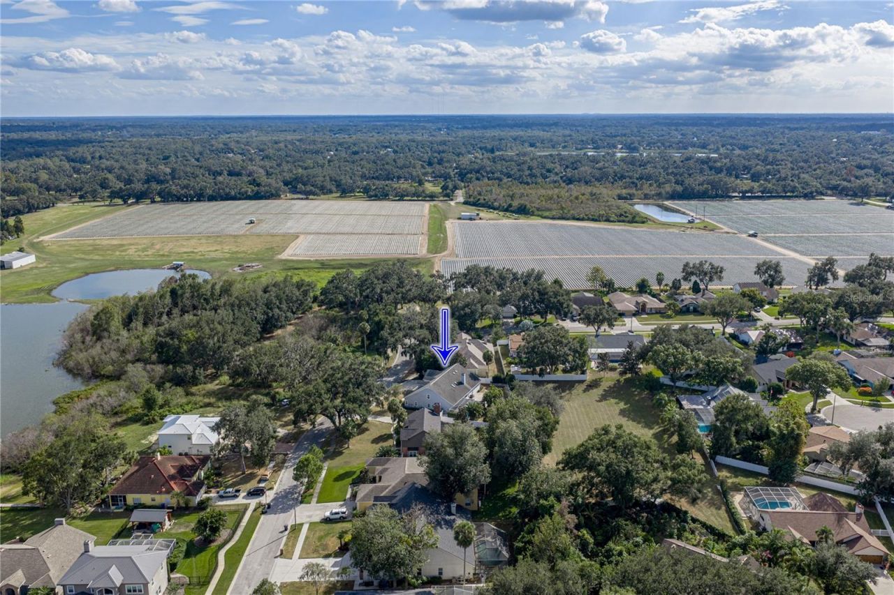 504 Covington Park Street, Seffner, FL 33584 Photo