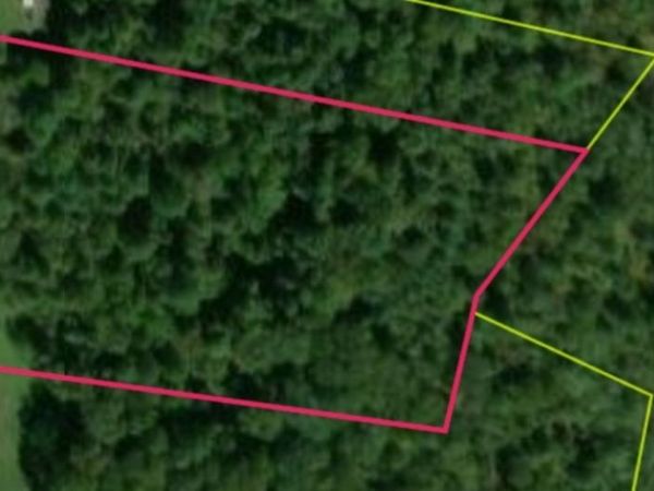 0 Ferguson Road, Cornersville, TN 37047